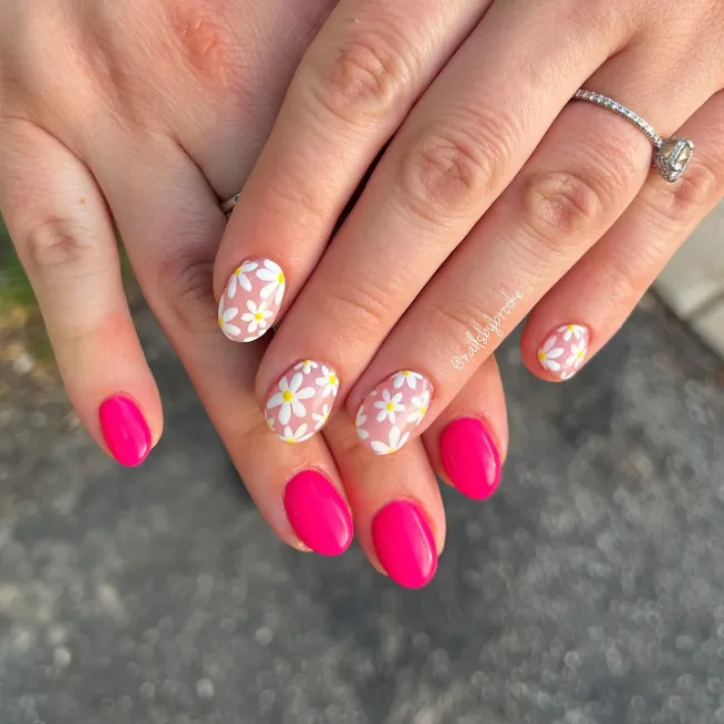 Hot Pink Daisy Mix
